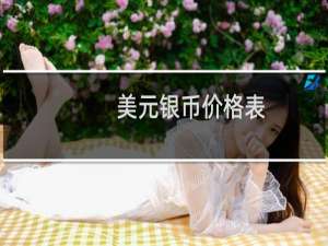 美元银币价格表