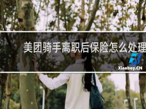 美团骑手离职后保险怎么处理