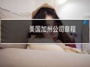 美国加州公司章程