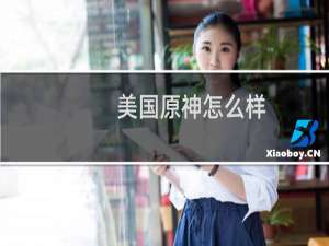 美国原神怎么样