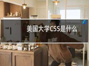 美国大学CSS是什么