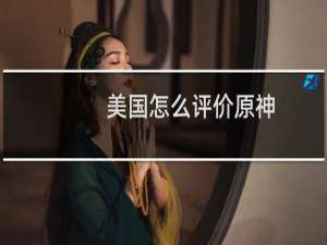 美国怎么评价原神