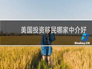 美国投资移民哪家中介好