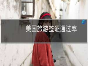 美国旅游签证通过率