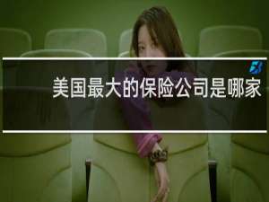 美国最大的保险公司是哪家