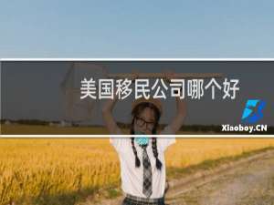 美国移民公司哪个好