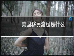 美国移民流程是什么