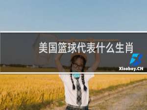 美国篮球代表什么生肖