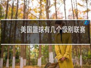 美国篮球有几个级别联赛