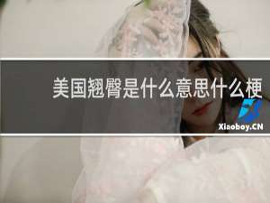 美国翘臀是什么意思什么梗