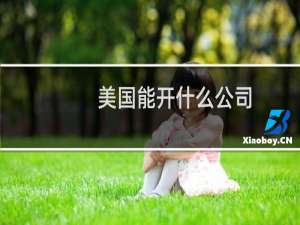 美国能开什么公司