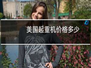美国起重机价格多少