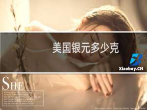 美国银元多少克