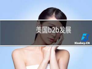 美国b2b发展