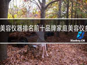美容仪器排名前十品牌家庭美容仪多少钱