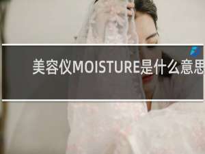 美容仪MOISTURE是什么意思
