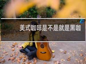 美式咖啡是不是就是黑咖啡
