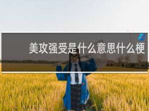 美攻强受是什么意思什么梗