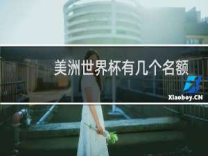 美洲世界杯有几个名额