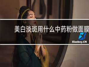 美白淡斑用什么中药粉做面膜