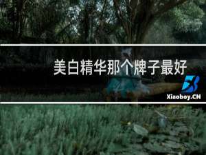 美白精华那个牌子最好