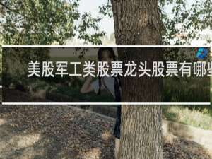 美股军工类股票龙头股票有哪些
