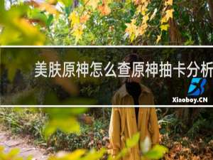 美肤原神怎么查原神抽卡分析