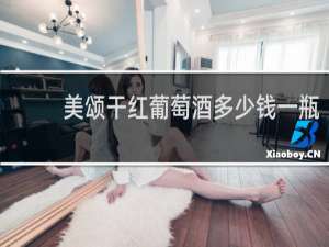 美颂干红葡萄酒多少钱一瓶