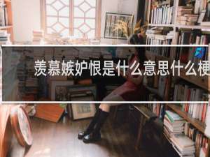 羡慕嫉妒恨是什么意思什么梗