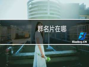 群名片在哪
