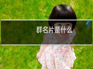 群名片是什么