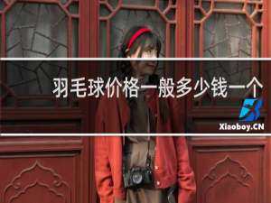 羽毛球价格一般多少钱一个