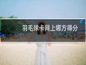 羽毛球卡网上哪方得分