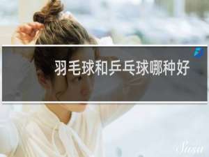 羽毛球和乒乓球哪种好