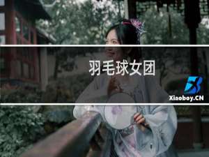 羽毛球女团