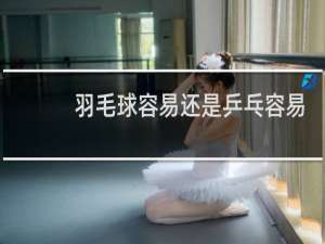 羽毛球容易还是乒乓容易