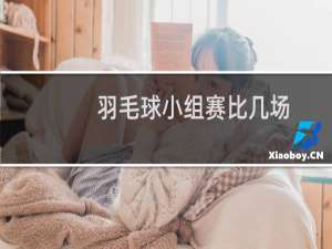 羽毛球小组赛比几场