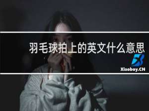 羽毛球拍上的英文什么意思