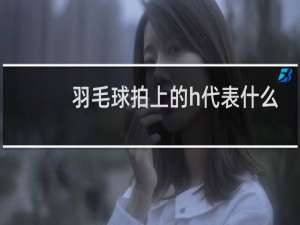 羽毛球拍上的h代表什么