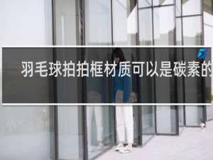 羽毛球拍拍框材质可以是碳素的吗