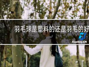 羽毛球是塑料的还是羽毛的好