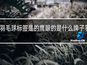 羽毛球标签是的鹰眼的是什么牌子羽毛球