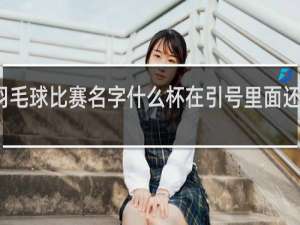 羽毛球比赛名字什么杯在引号里面还是外面