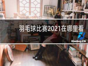 羽毛球比赛2021在哪里看