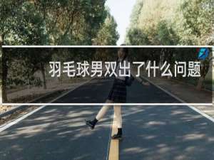 羽毛球男双出了什么问题
