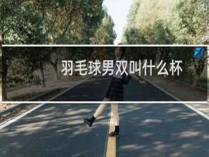 羽毛球男双叫什么杯