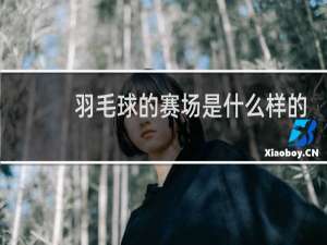羽毛球的赛场是什么样的