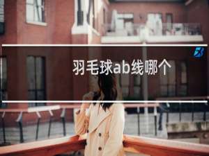 羽毛球ab线哪个