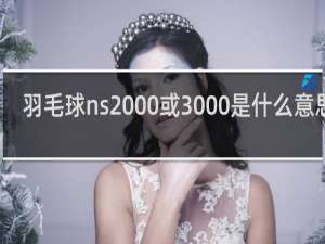 羽毛球ns2000或3000是什么意思呢