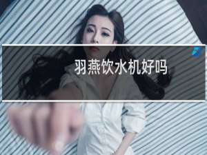 羽燕饮水机好吗